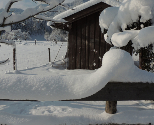 Winter am Moritzenhof